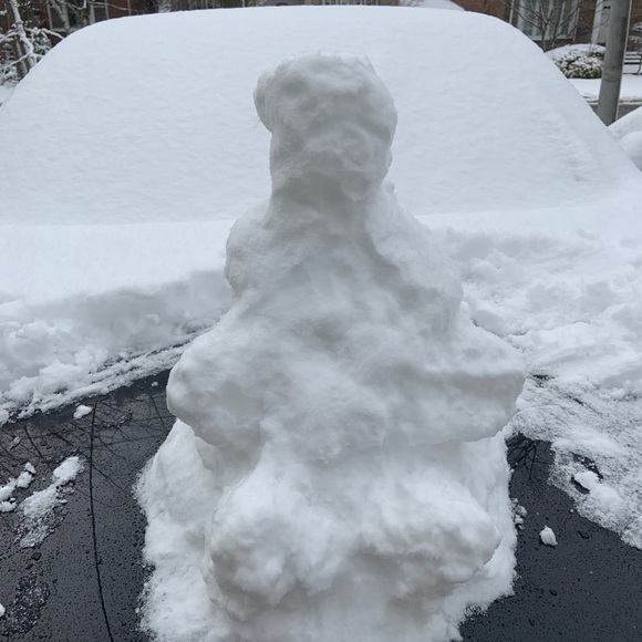 Meet your Posher, Ryan - Picture 1 of 1